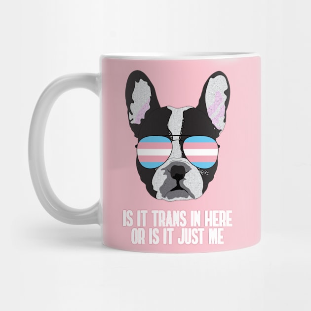 Funny IS IT TRANS IN HERE OR IS IT JUST ME - Boston Terrier Dog Trans Pride Flag by NightField